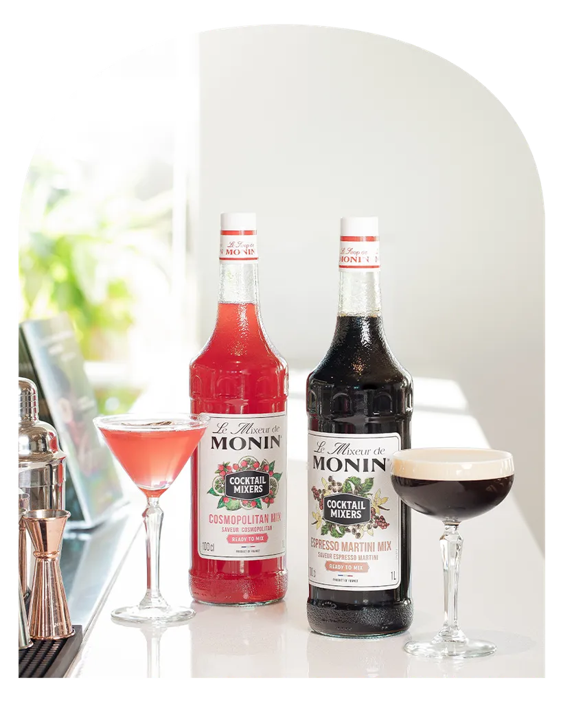 Produkty MONIN Le Mixeur pro profesionální gastronomii