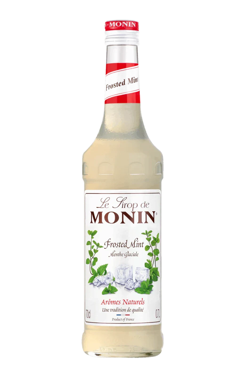 Monin sirup Máta ledová 0,7 l – láhev sirupu