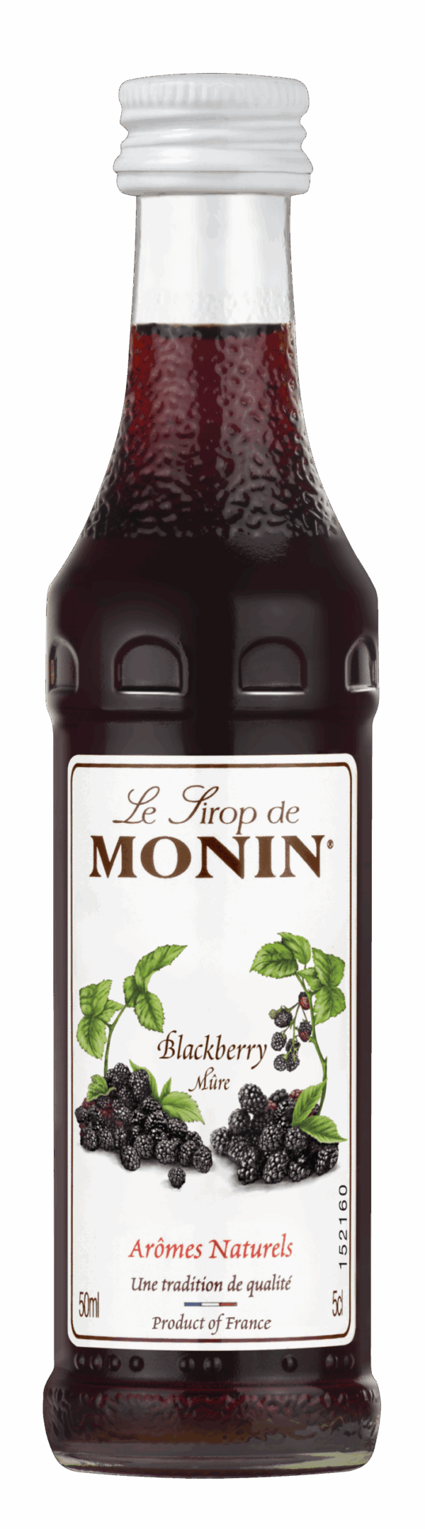 Monin sirup Rybíz černý 0,05l