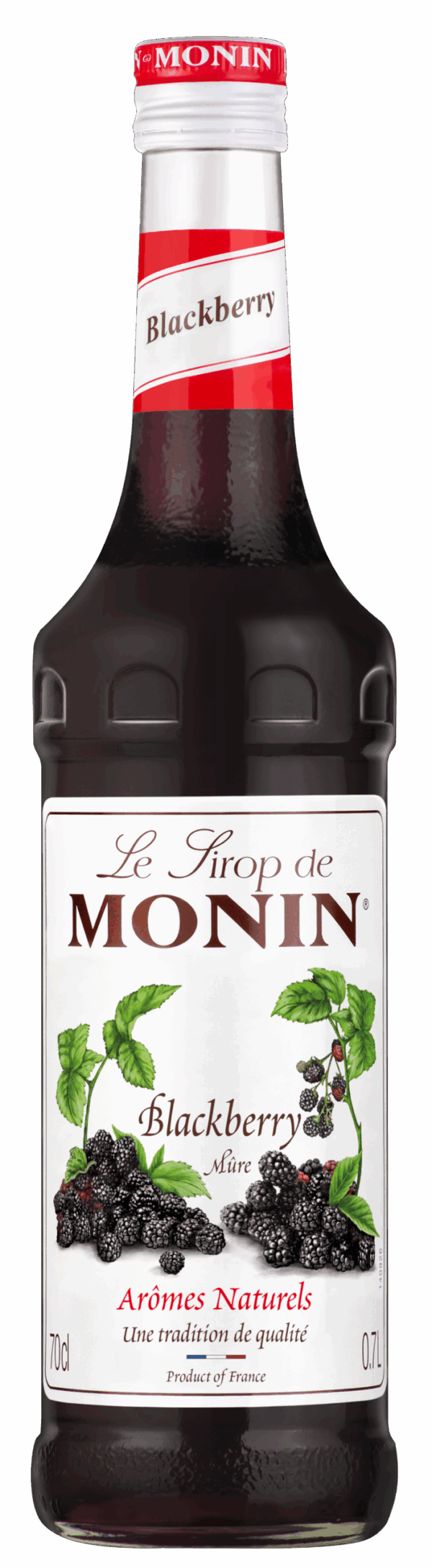 Monin sirup Ostružina 0,7l