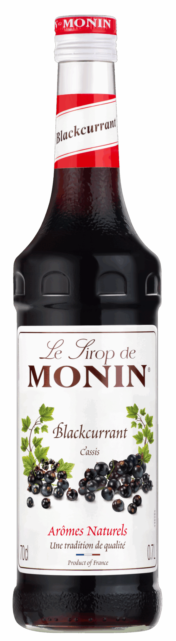 Monin sirup Rybíz černý 0,7l