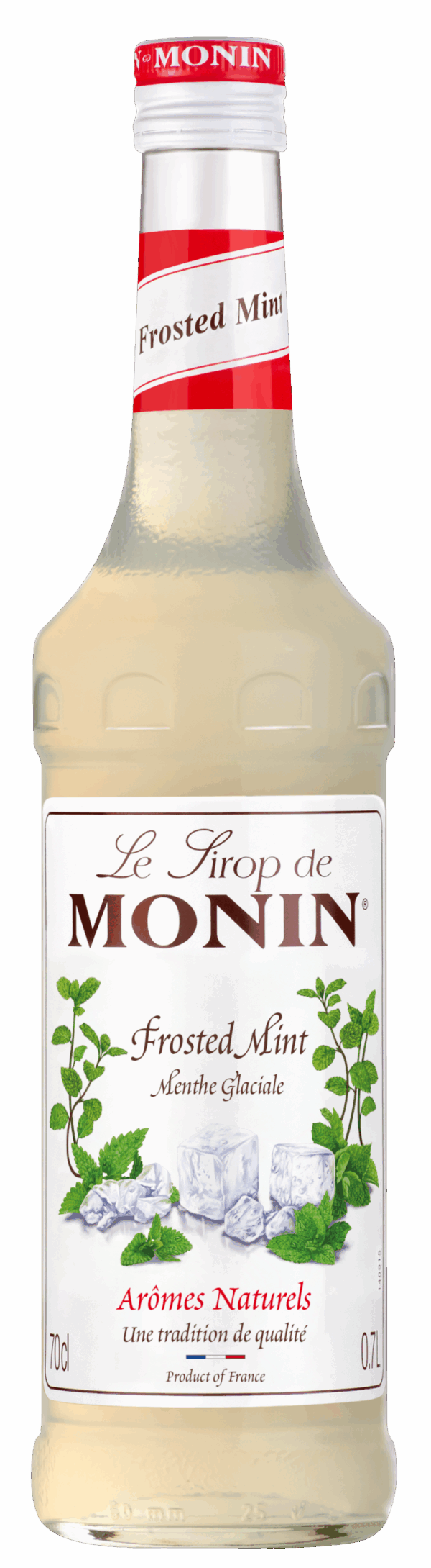Monin sirup Máta ledová 0,7l