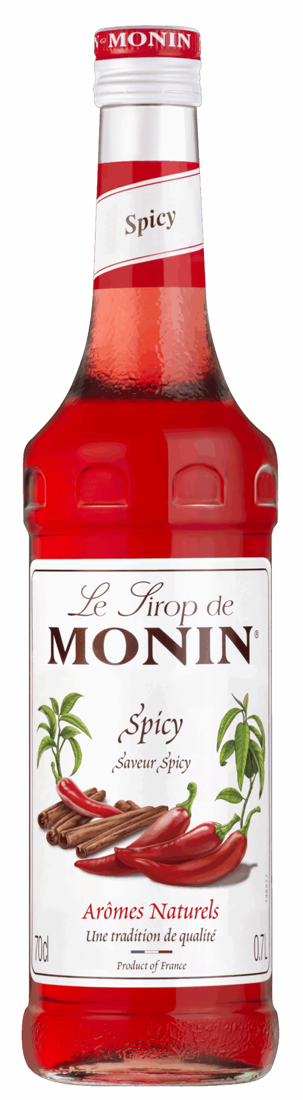Monin sirup Spicy 0,7l
