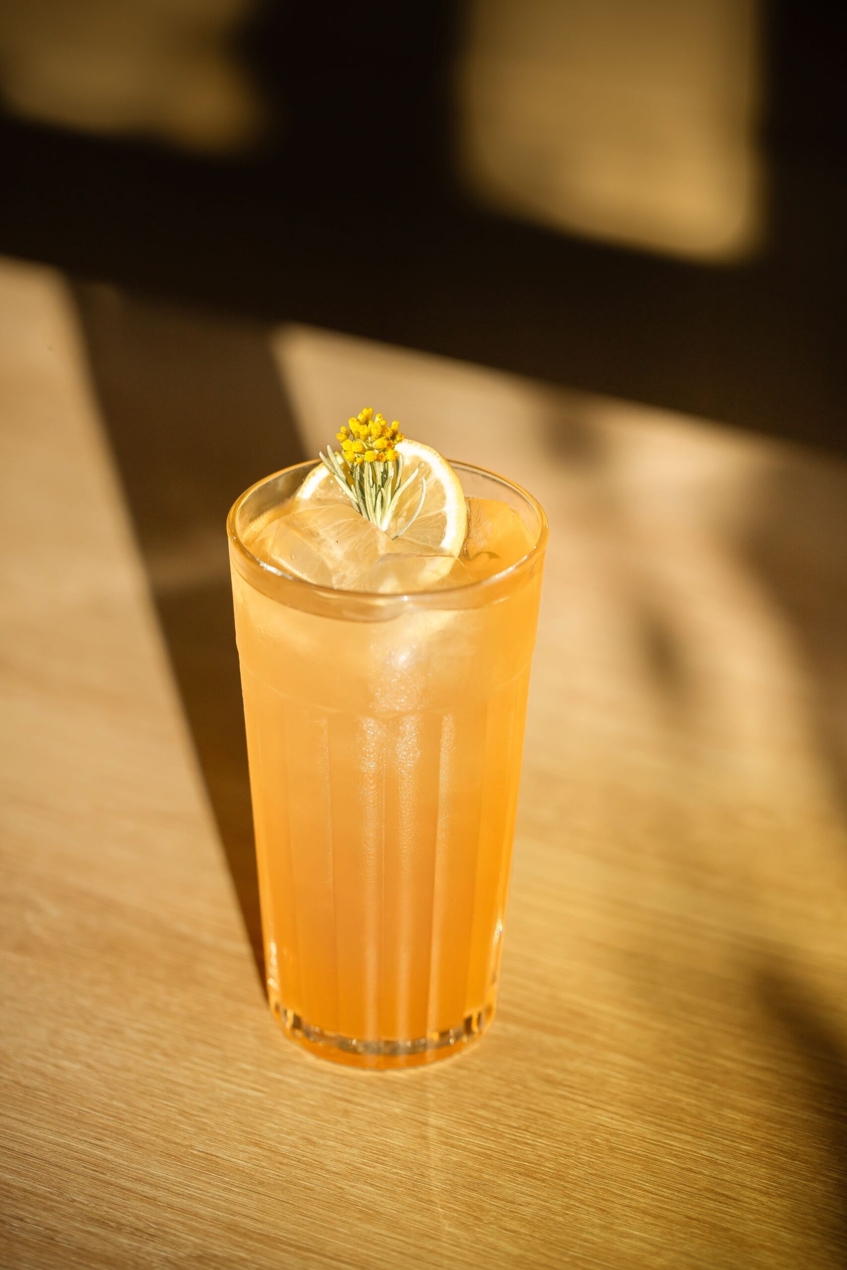 IMMORTELLE Studio204 31modif HD 2048 3072 scaled