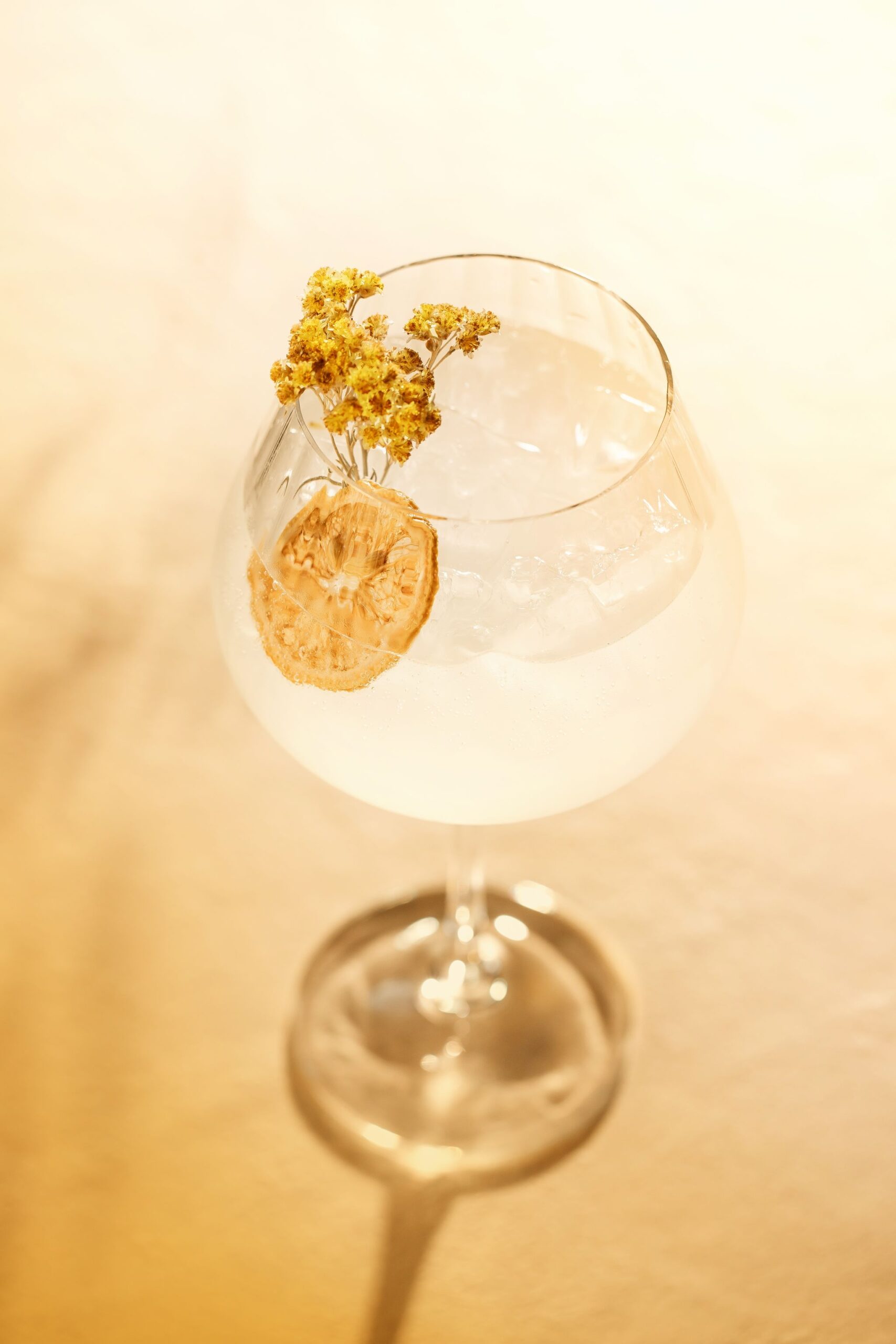 IMMORTELLE Studio204 33modif HD 2048 3072 scaled