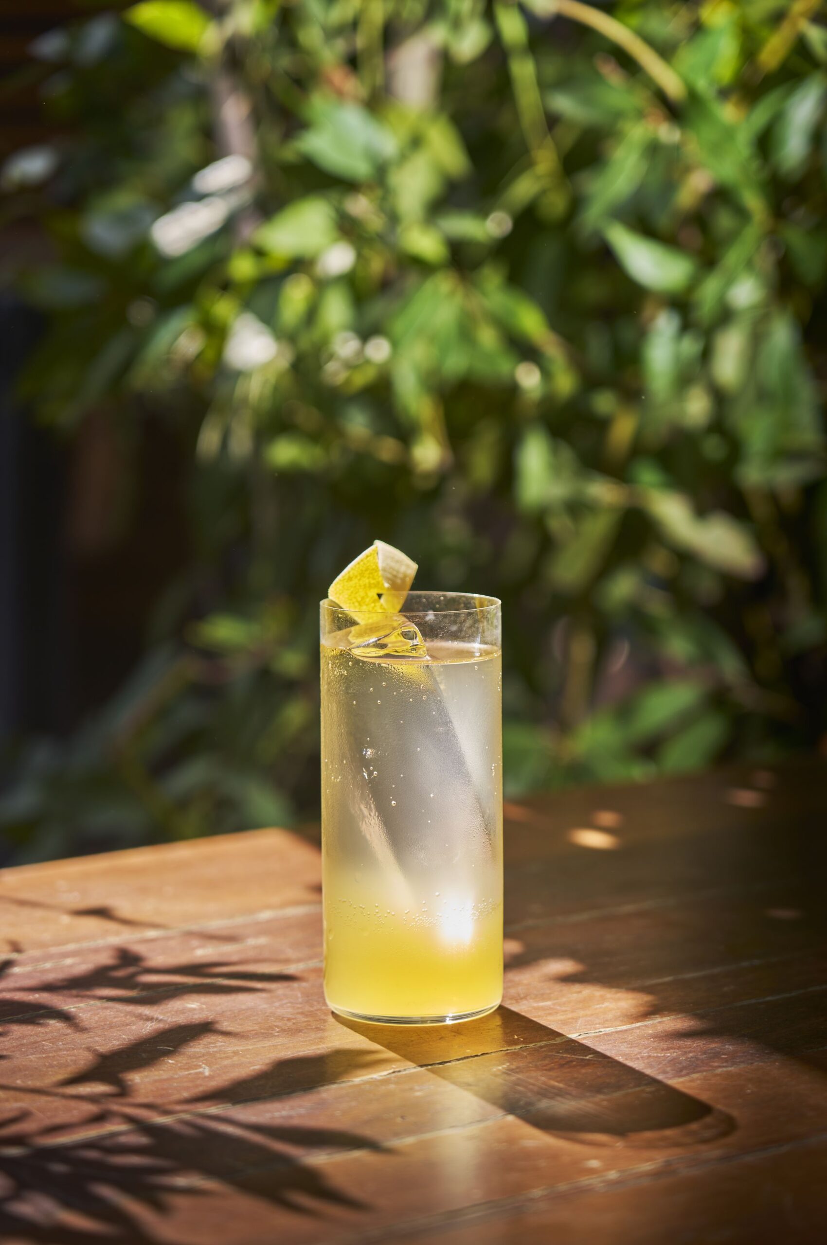 Lifestyle Immortelle Flower Highball 2048 3084 scaled