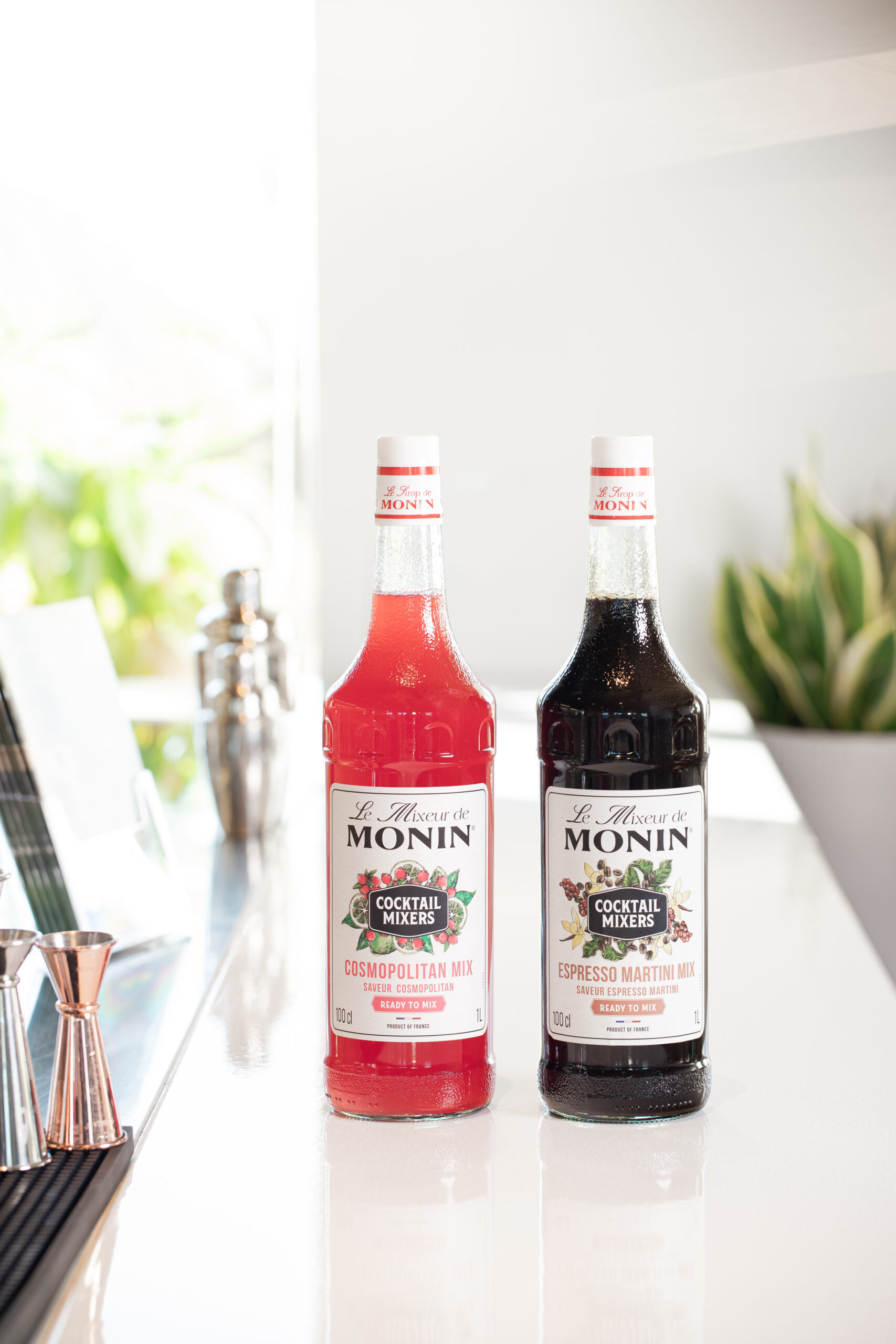 MONIN Mixeur BOTTLES Cosmopolitain Espresso Martini VERRE HD scaled