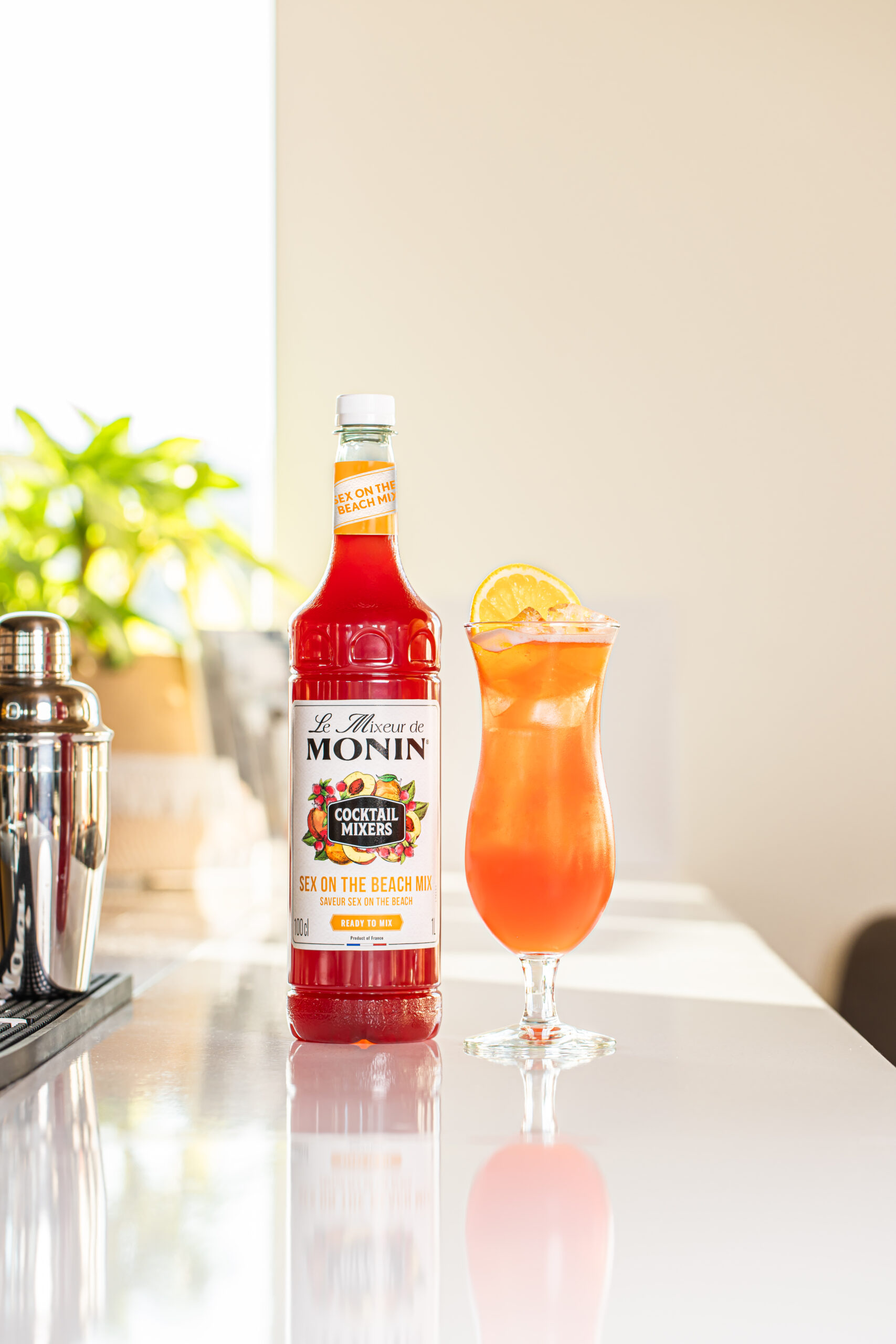 Mixeur Sex On The Beach Studio204 1 HD scaled