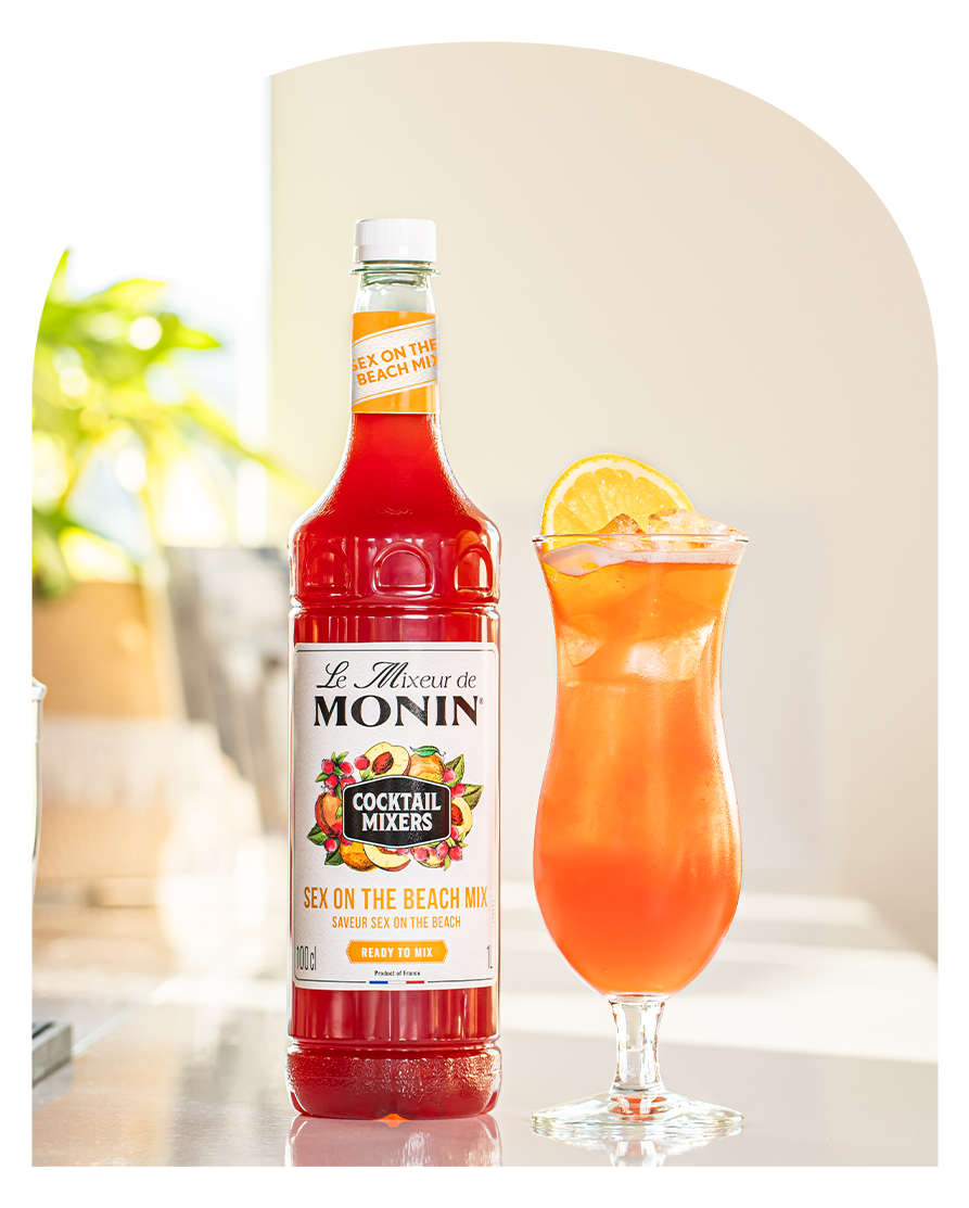 SEX ON THE BEACH LE MIXEUR HEAD PAGE